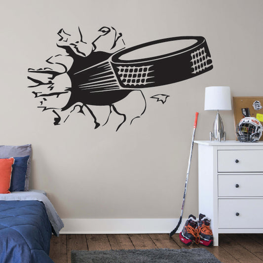 Hockey Puck 3D  Broking wall