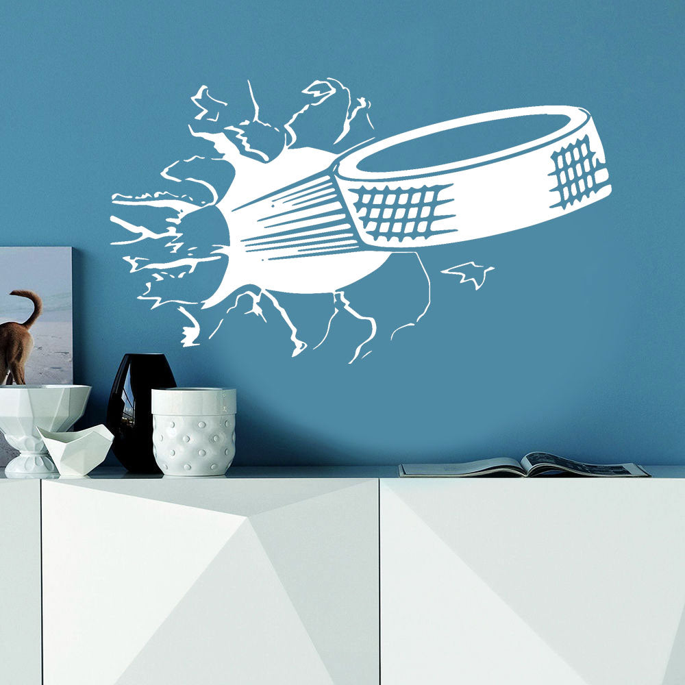 Hockey Puck 3D Broking wall